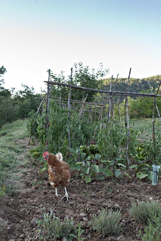מלון La Baronia de Rialb Masia Ca L'Anima מראה חיצוני תמונה