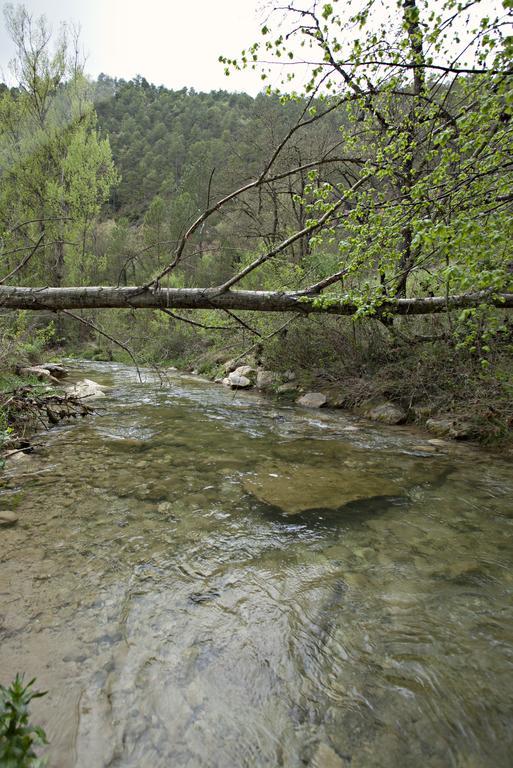 מלון La Baronia de Rialb Masia Ca L'Anima חדר תמונה