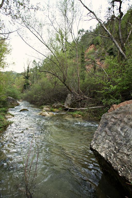 מלון La Baronia de Rialb Masia Ca L'Anima חדר תמונה